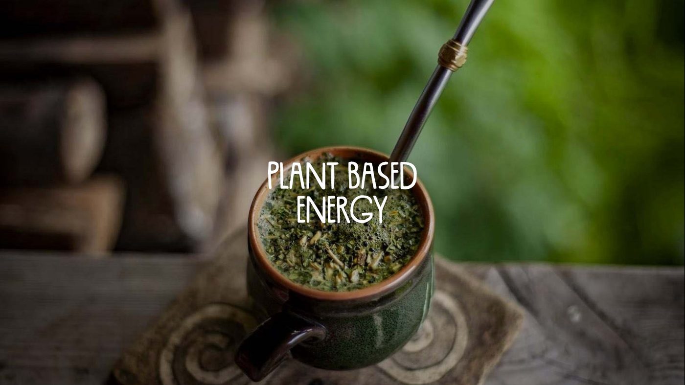 Yerba mate gourd and bombilla with the words 'plant based energy'